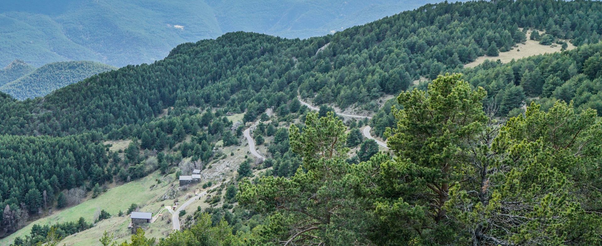 Coll de la Gallina