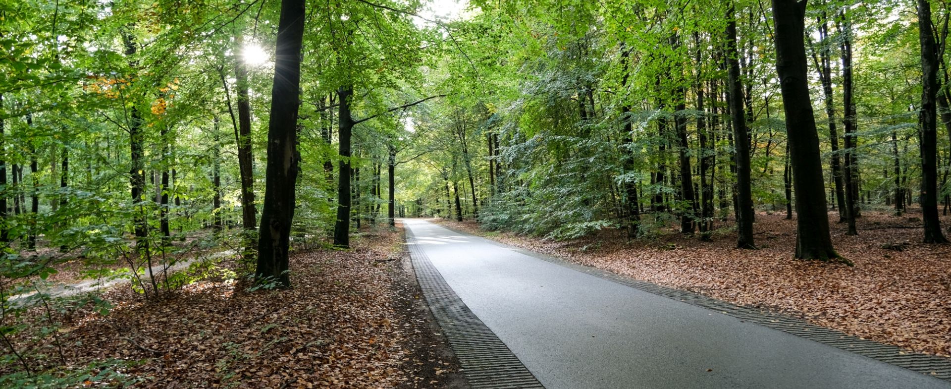 Staatsbos 