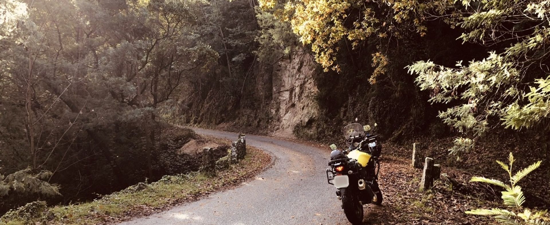 Campo pass 