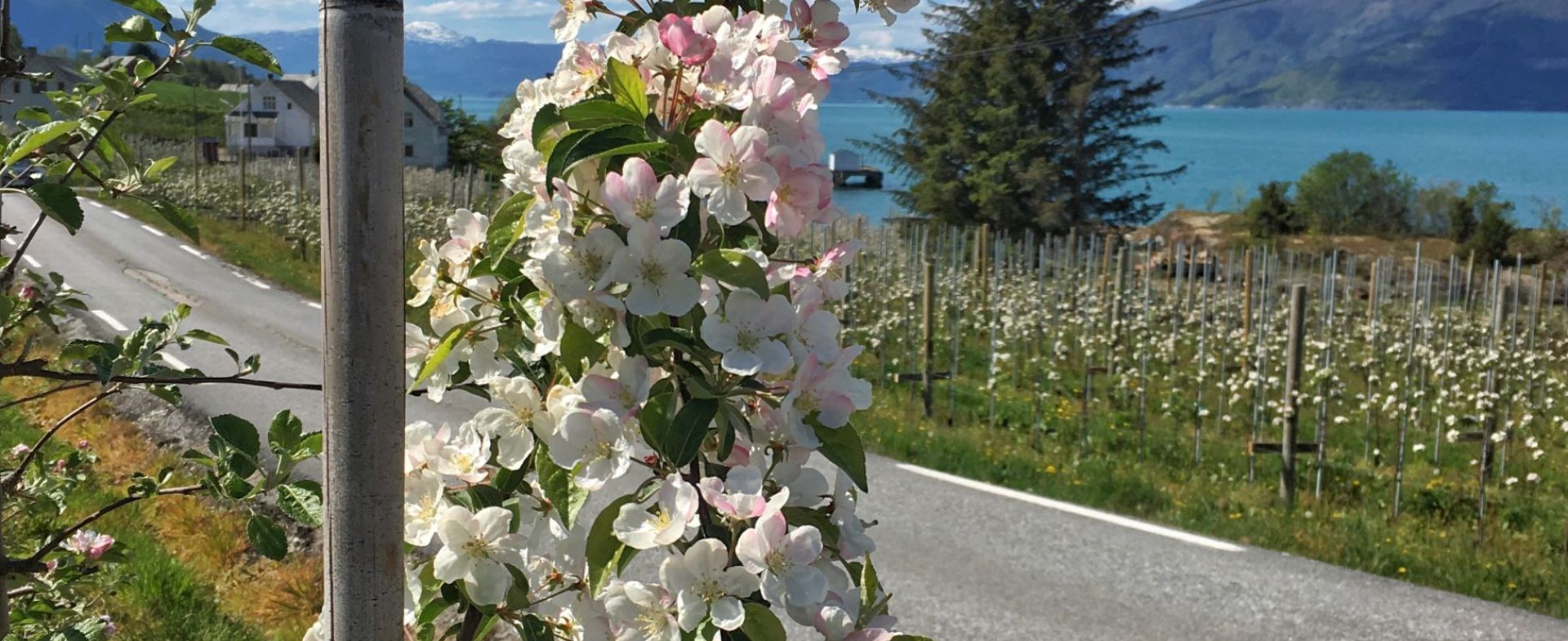Jondal-Utne,Norway