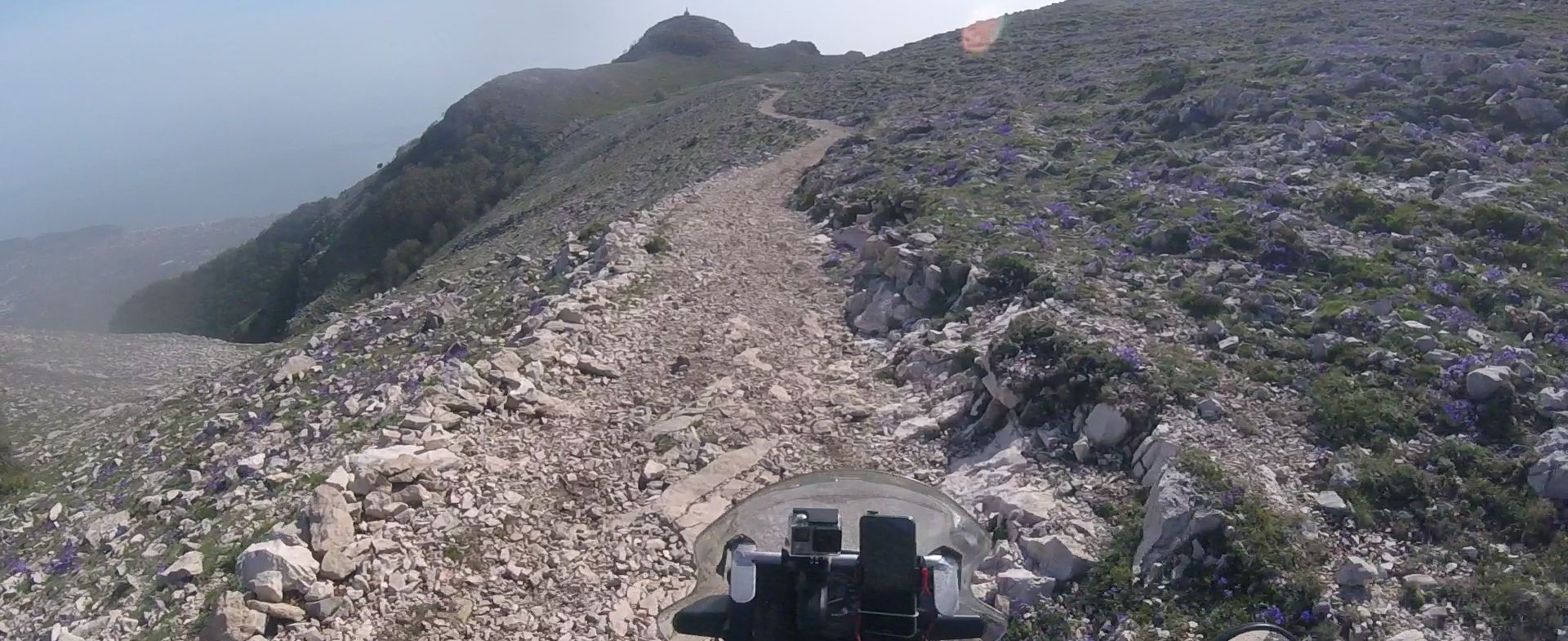 zita, from sea to the mountains at 1300 mt