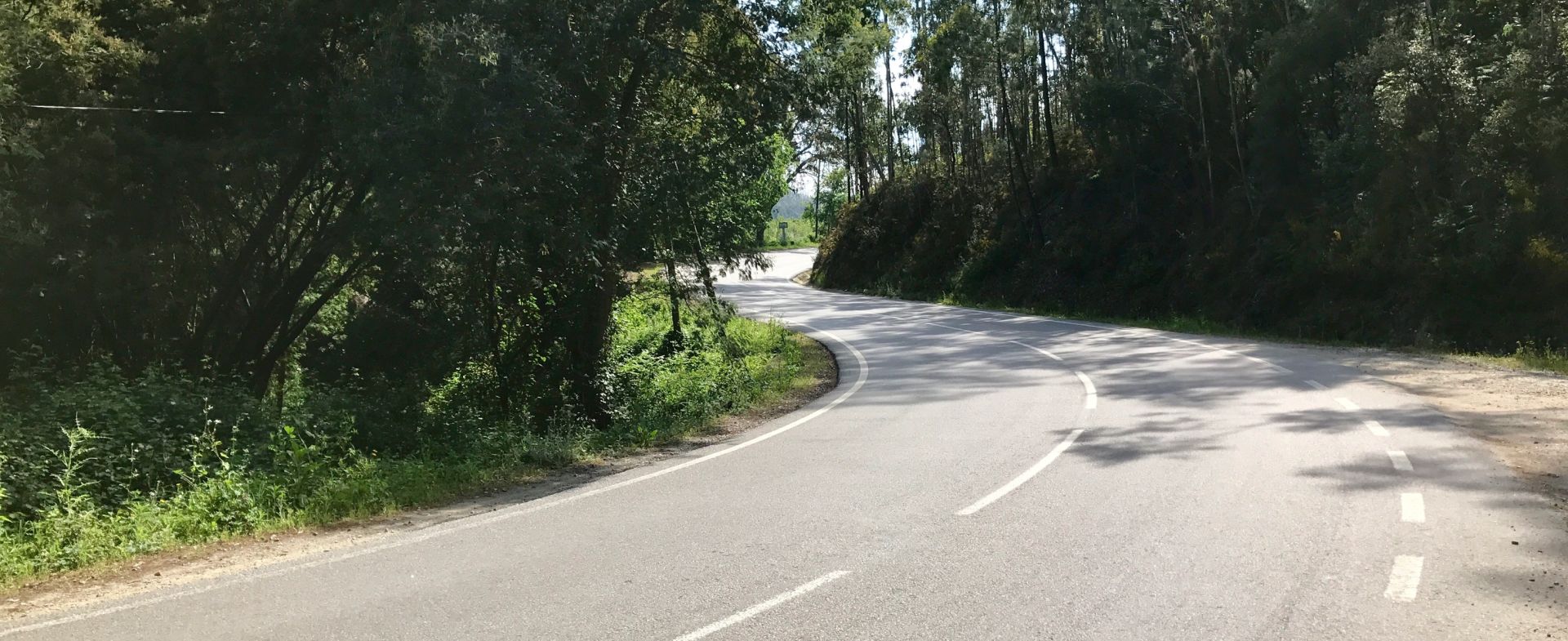 N16 Albergaria-a-Velha to Sever do Vouga