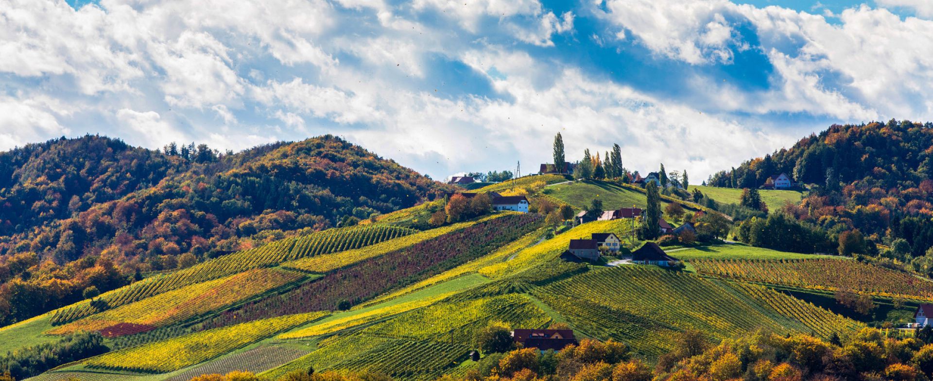 From Vulcan Hills to Wine