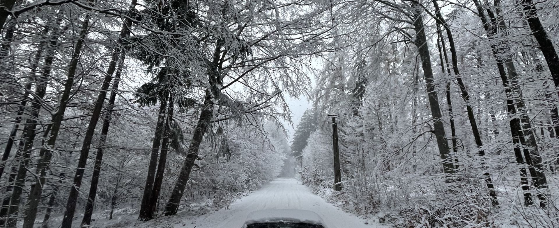 Winter sideways