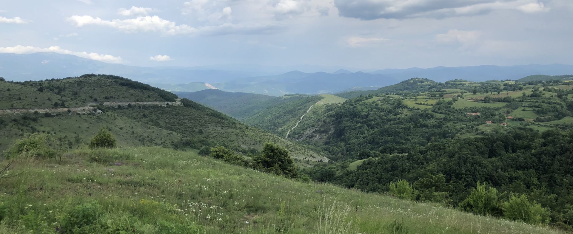 Golija National Park (road 198)