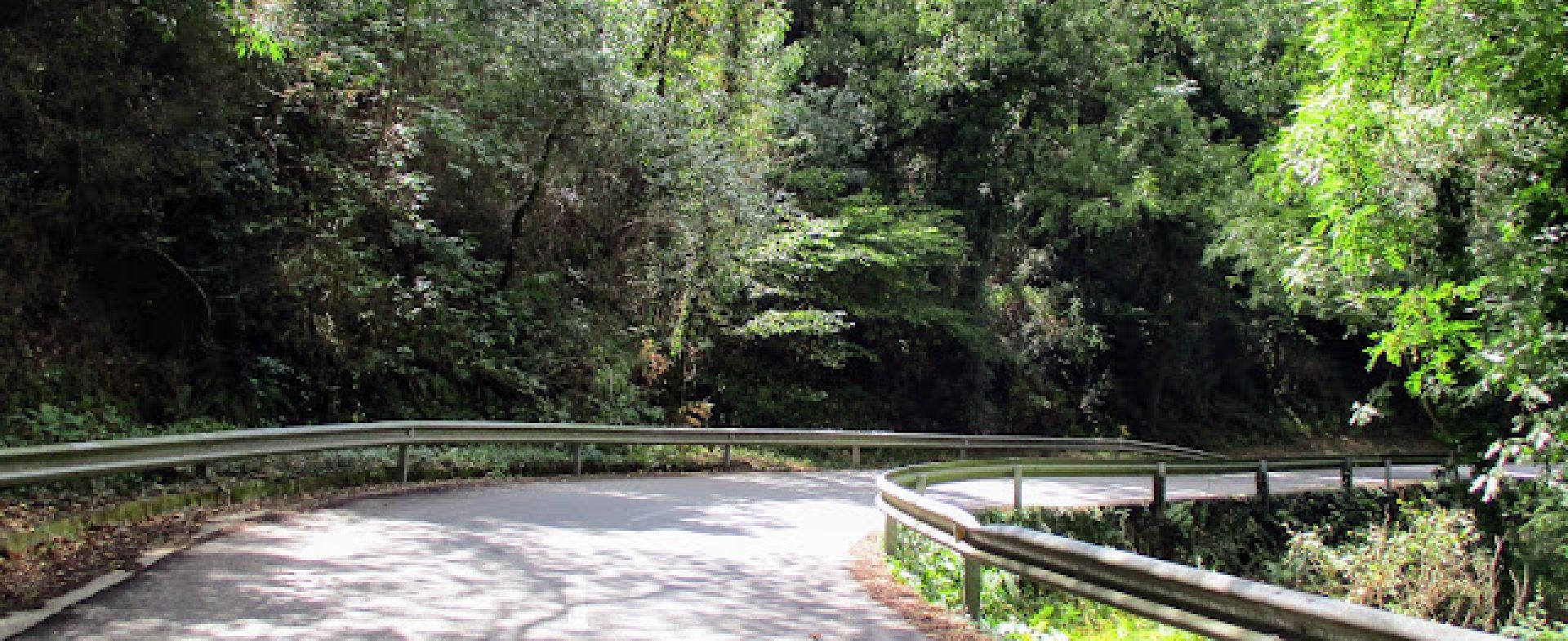 Fonts del Montseny