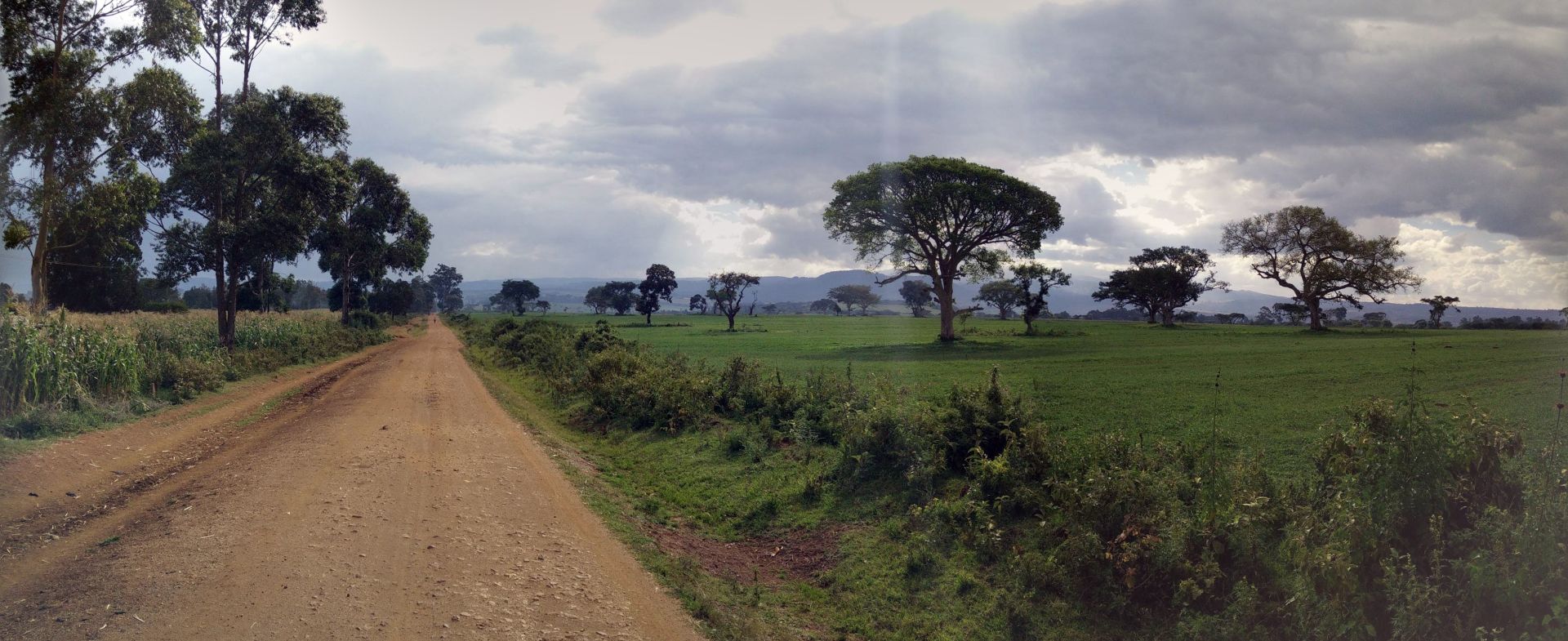 Mt. Elgon Road