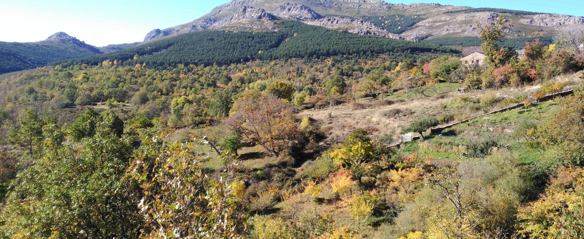 Carretera de Tamajón a Cogolludo