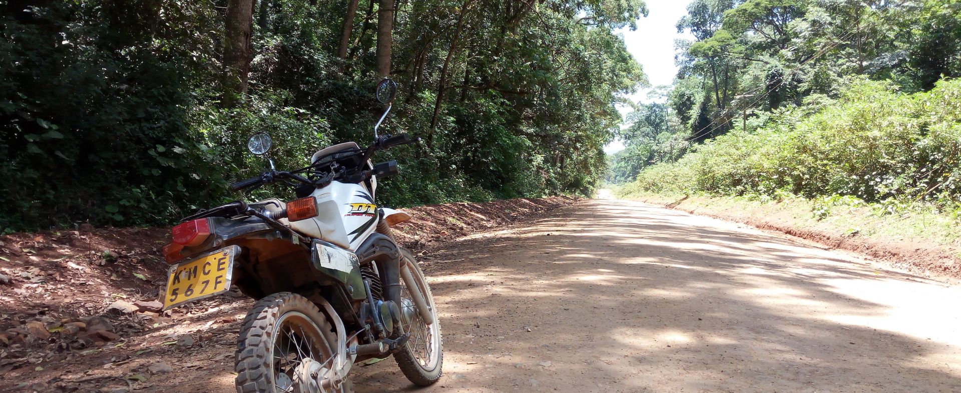 Kakamega Forest Road