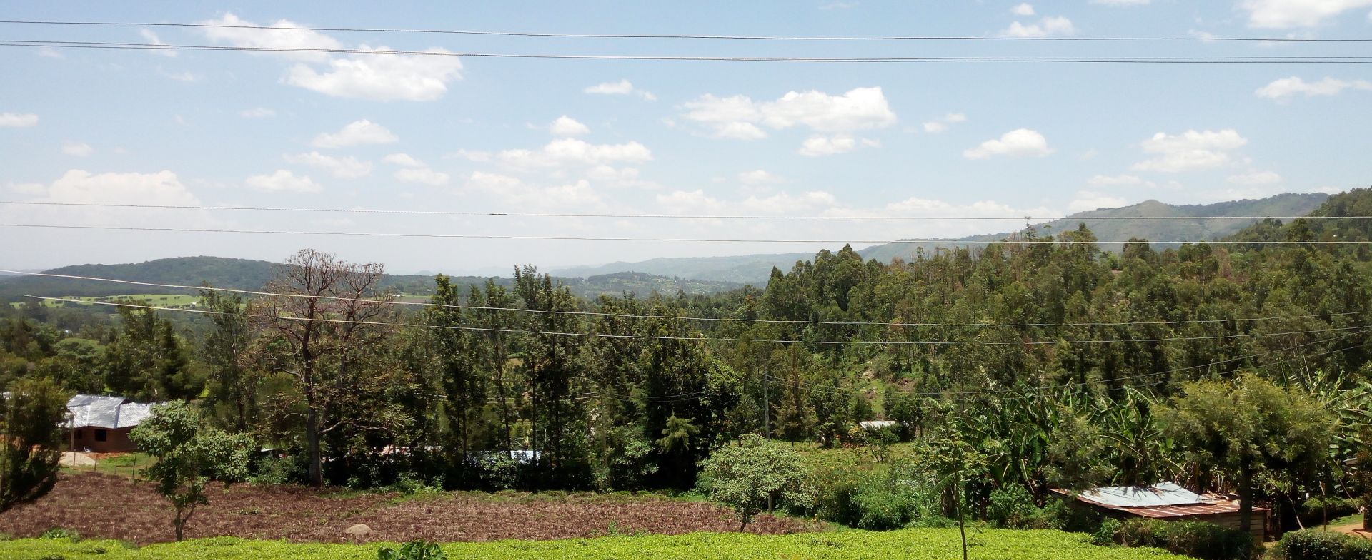 Yala Kabsibet Road