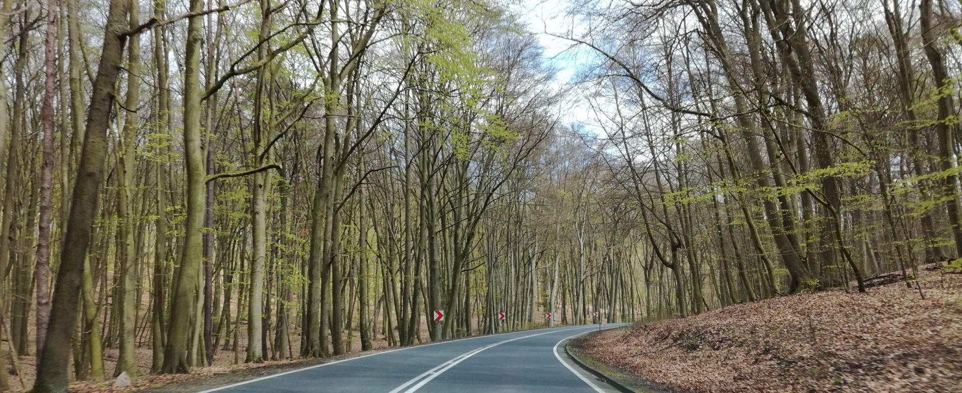 102-Road through Wolinski National Park