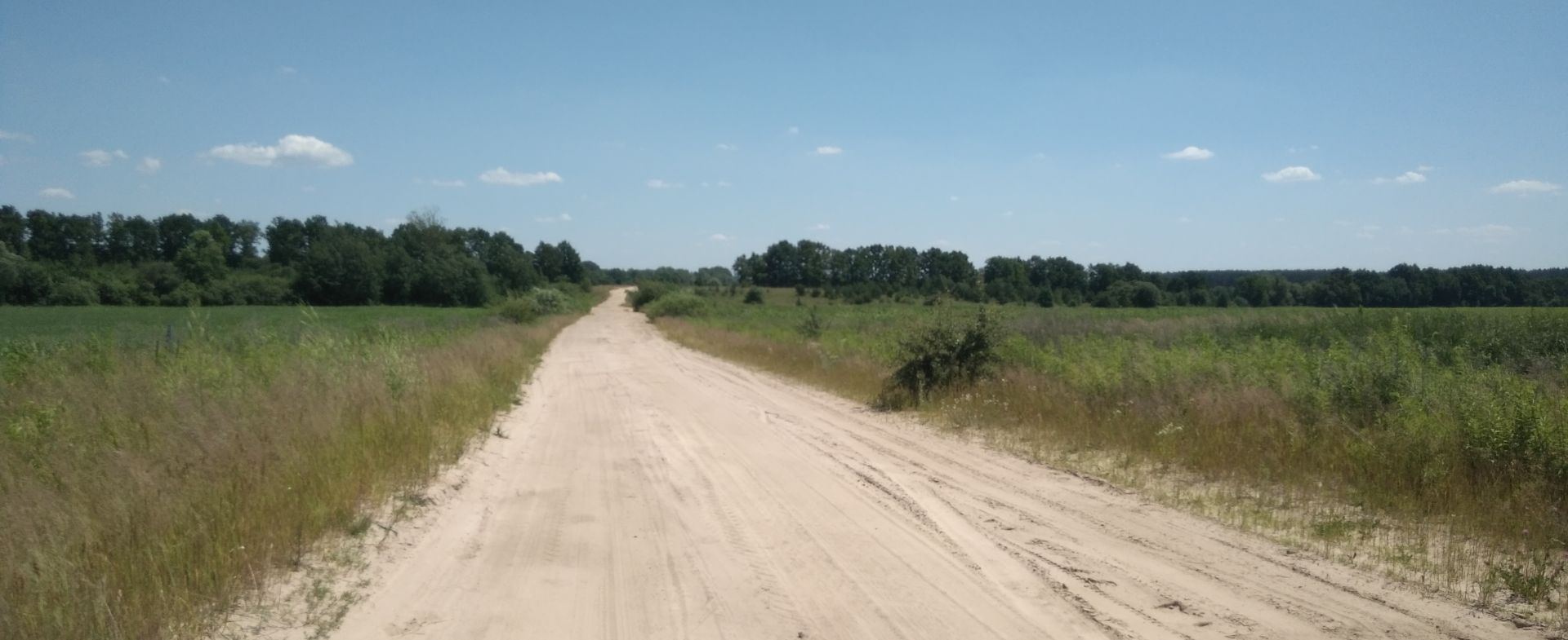 Torchyn to Pylypovychi "road"