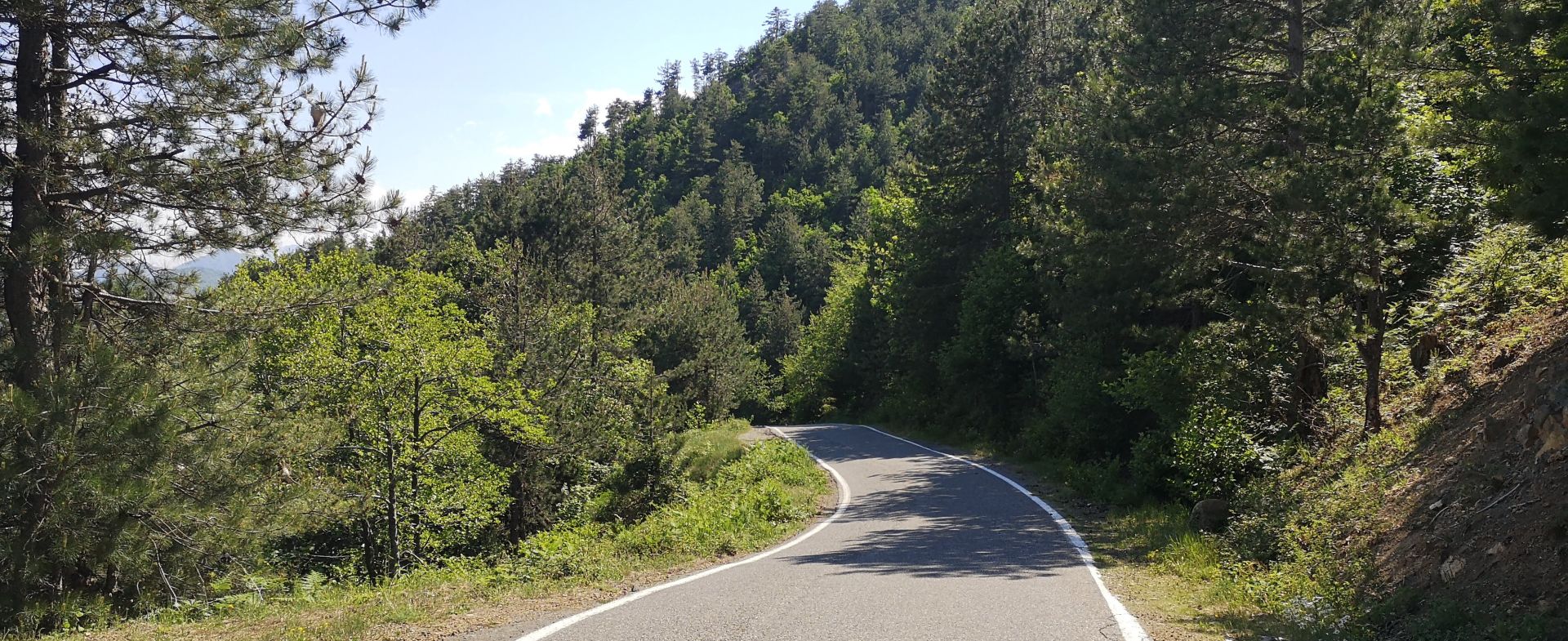 SH22