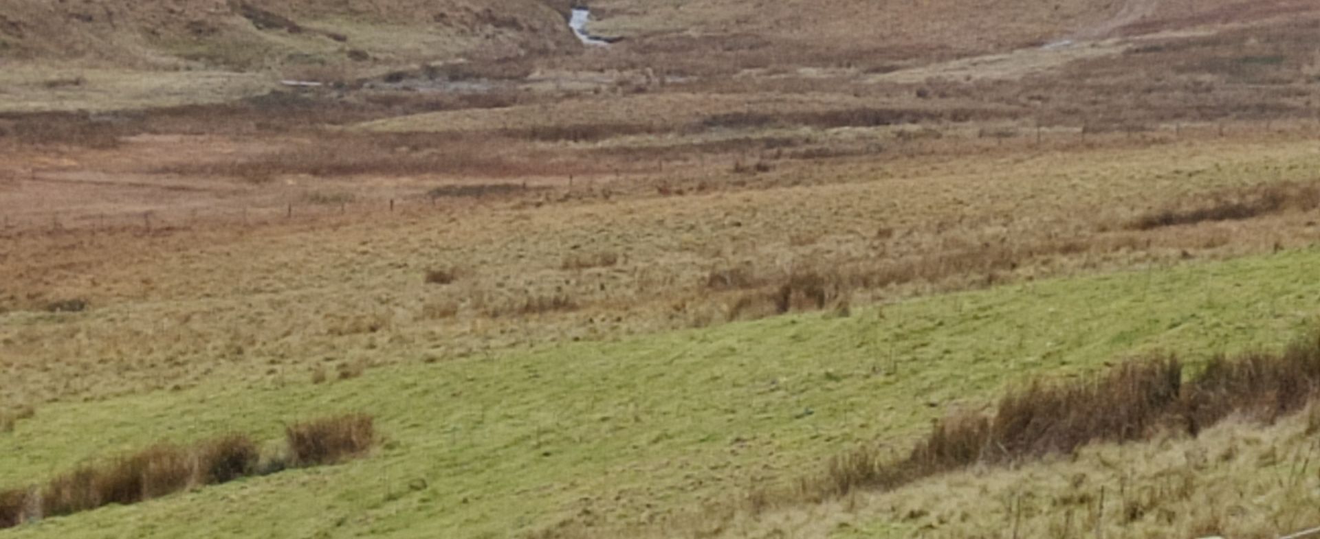 Lake Vrynwy -single track