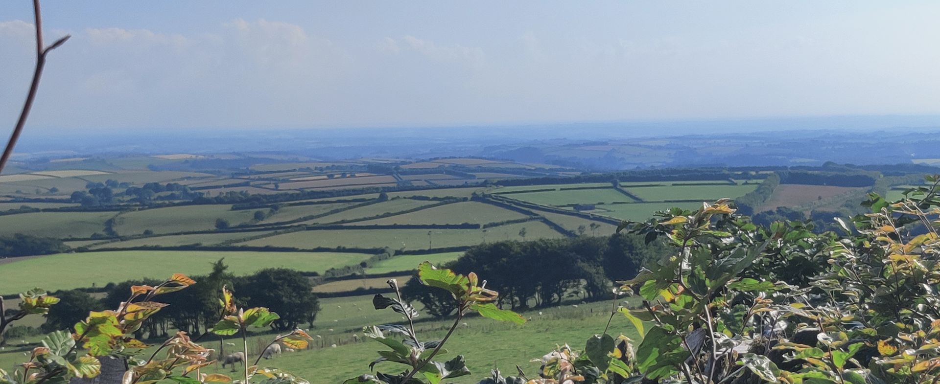 Simonsbath Exmoor towards South Molton 
