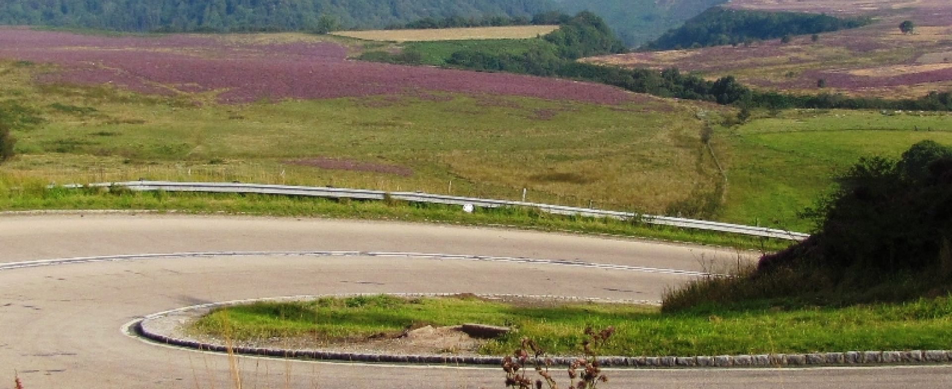 Pickering to Whitby