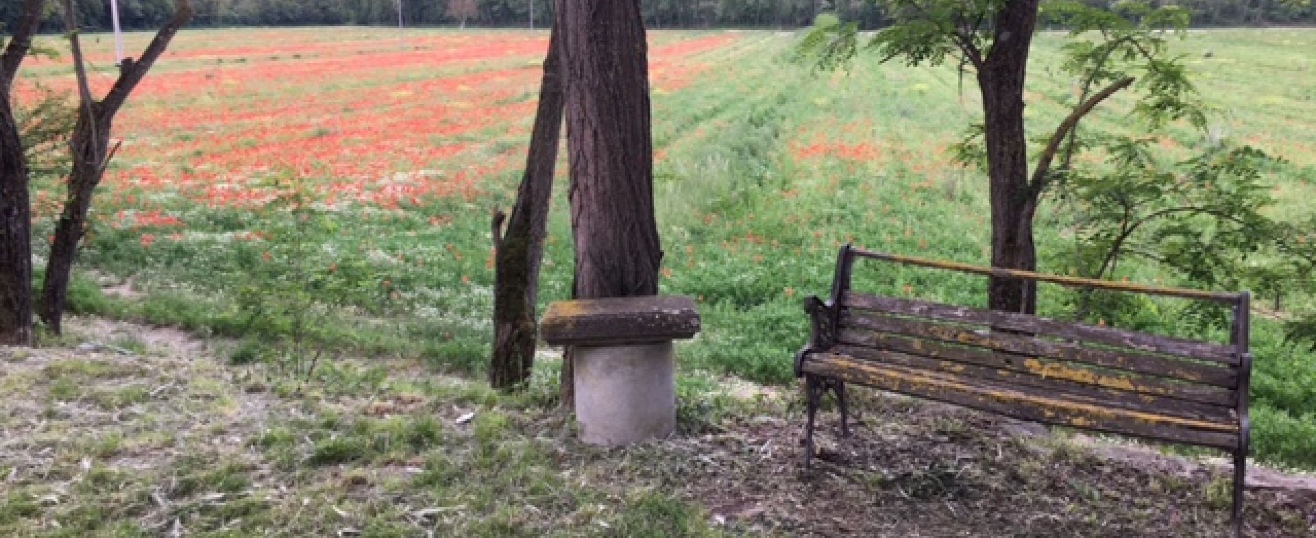 From Val di Chiana to Gubbio, the long way