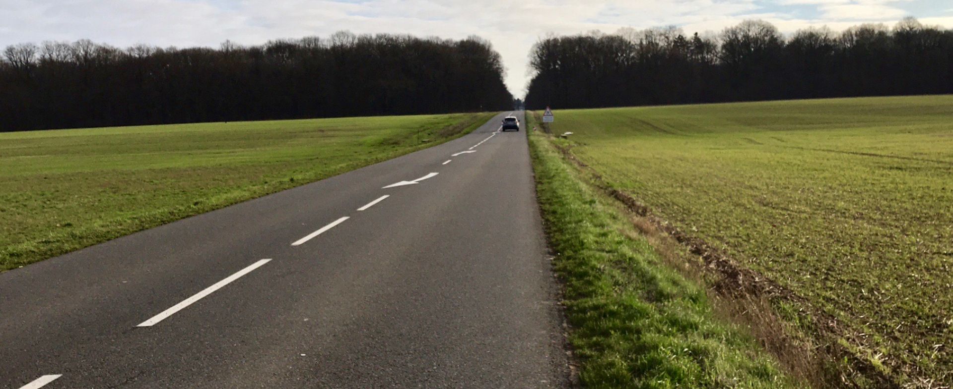 Petite route en foret d'Orléans.