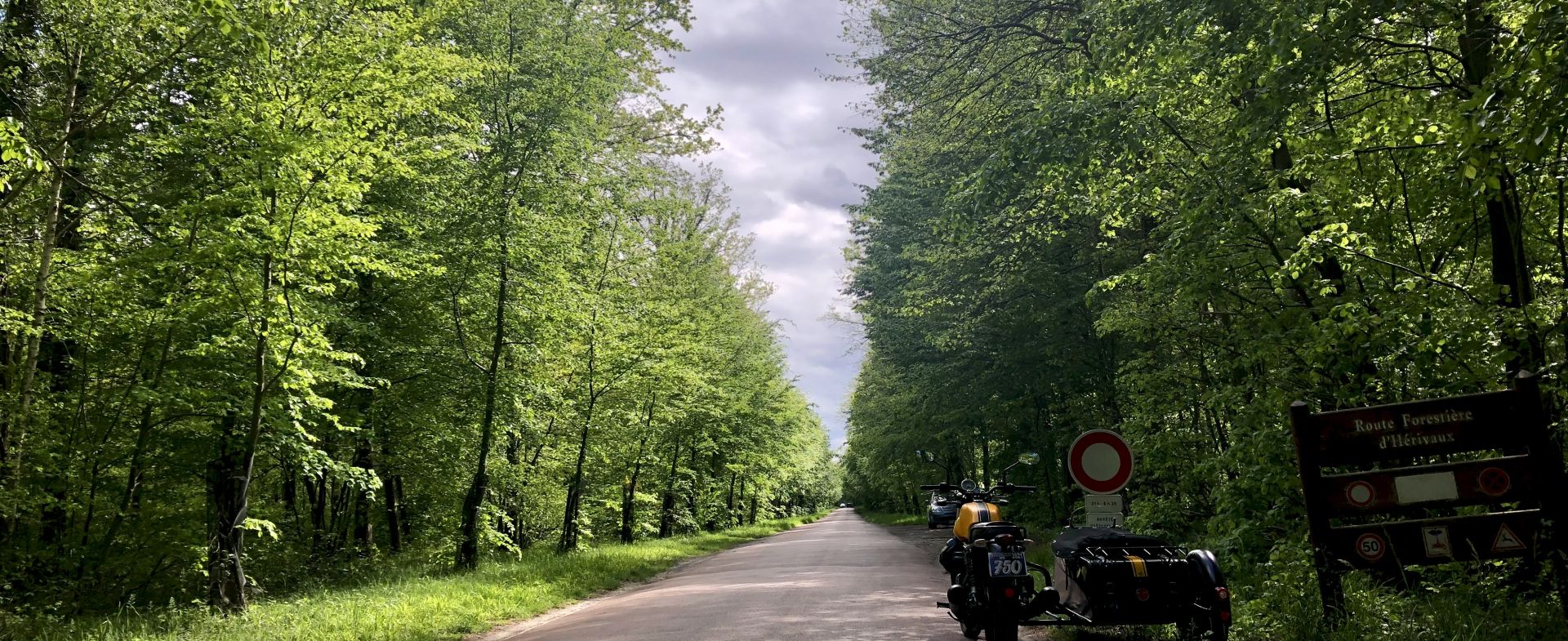 Route forestière en forêt de Chantilly