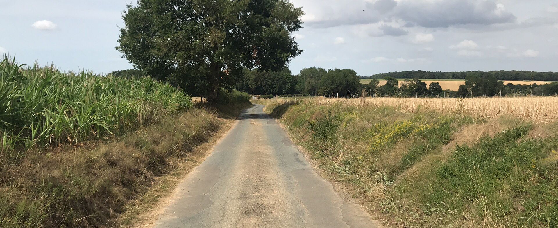 Autour de Songeons (Oise)