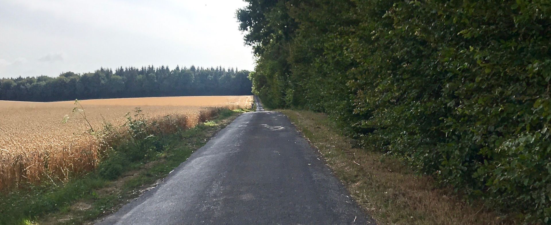Route de forêt à travers le parc du château de Gaillefontaine.