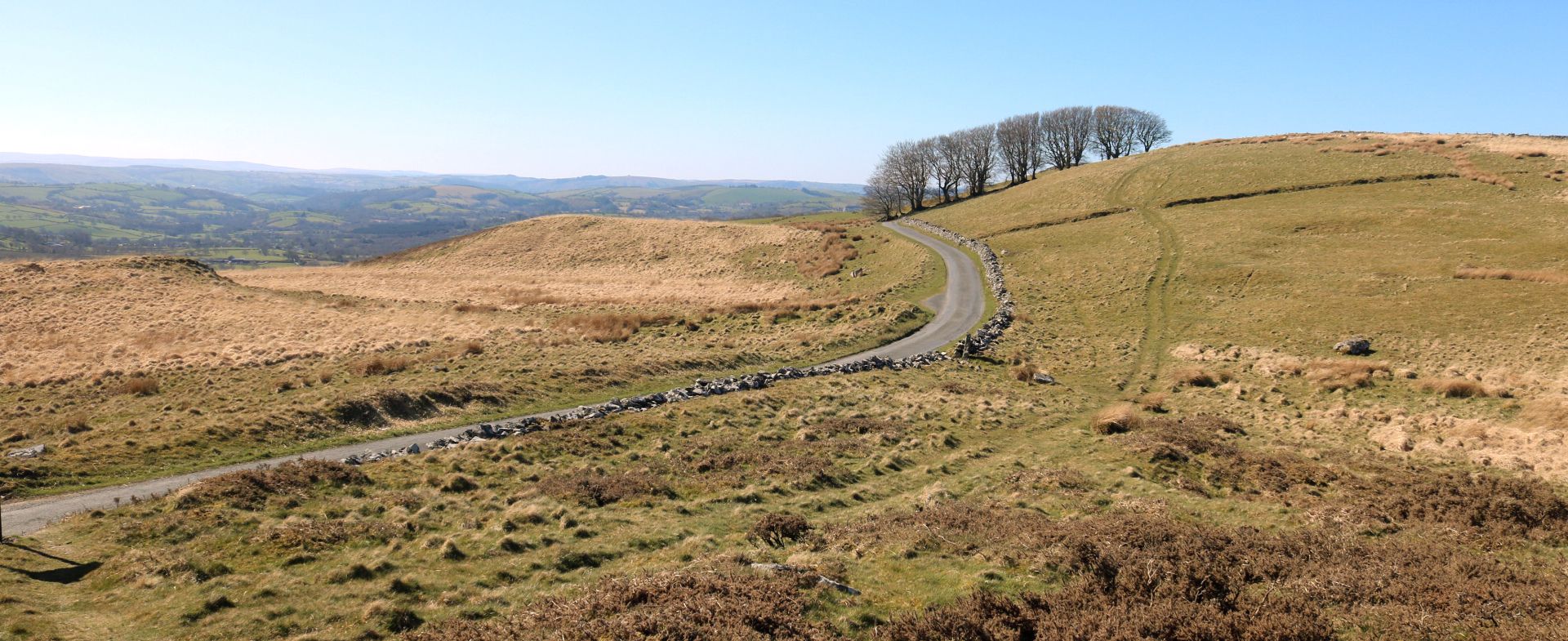 Lampeter to Llyn Brianne