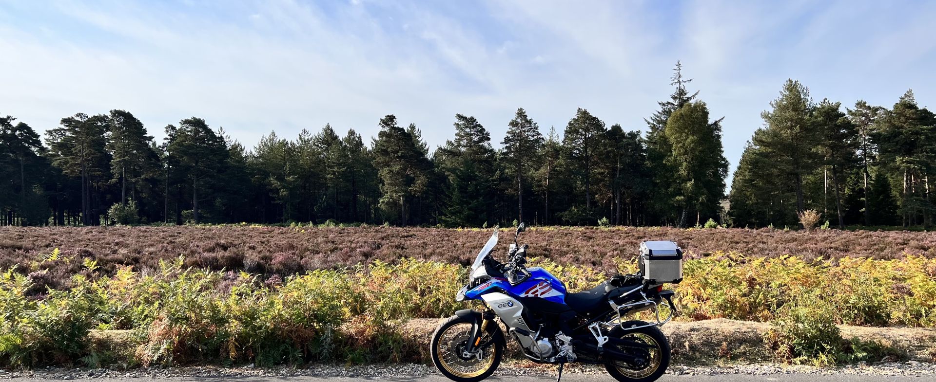 Blackwater @New Forest