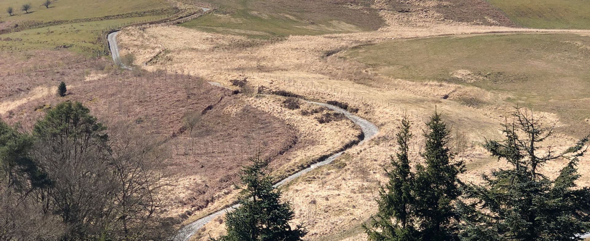 Llanddewi-Brefi Mountain Road