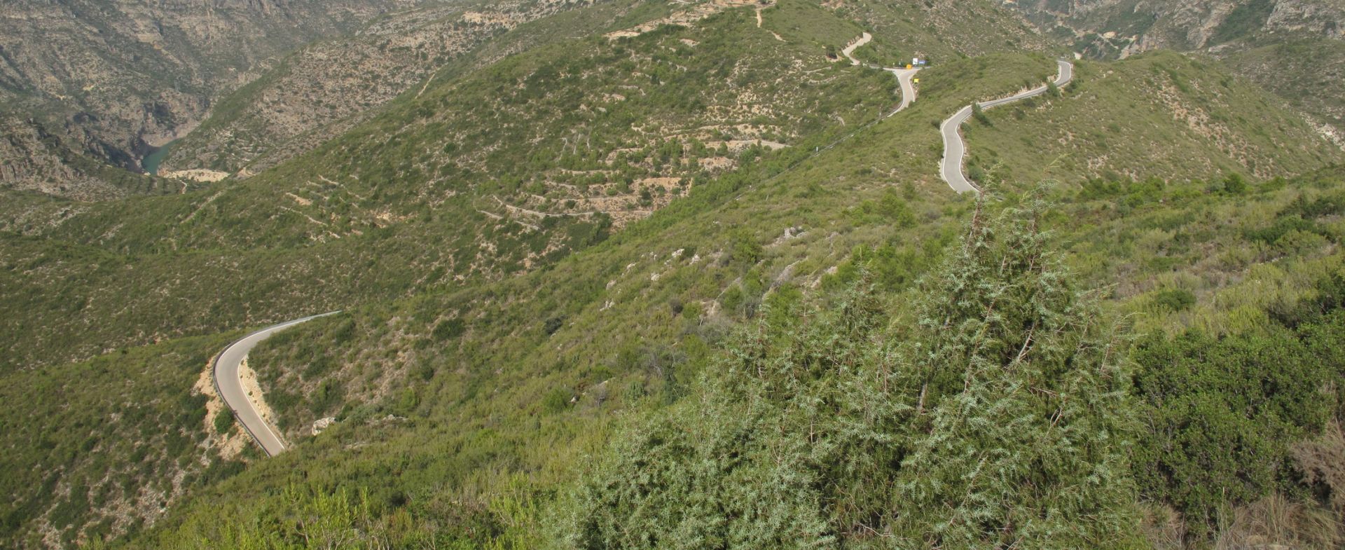 Cortes de Pallas