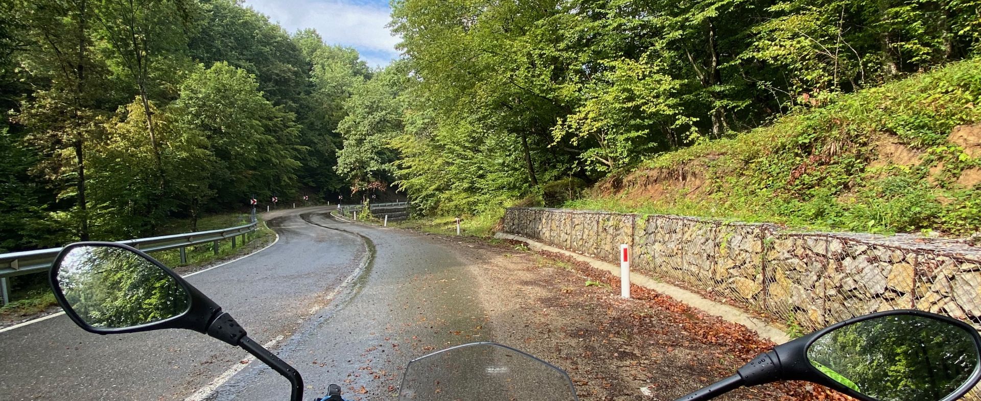 Fun curvy turns and forest views