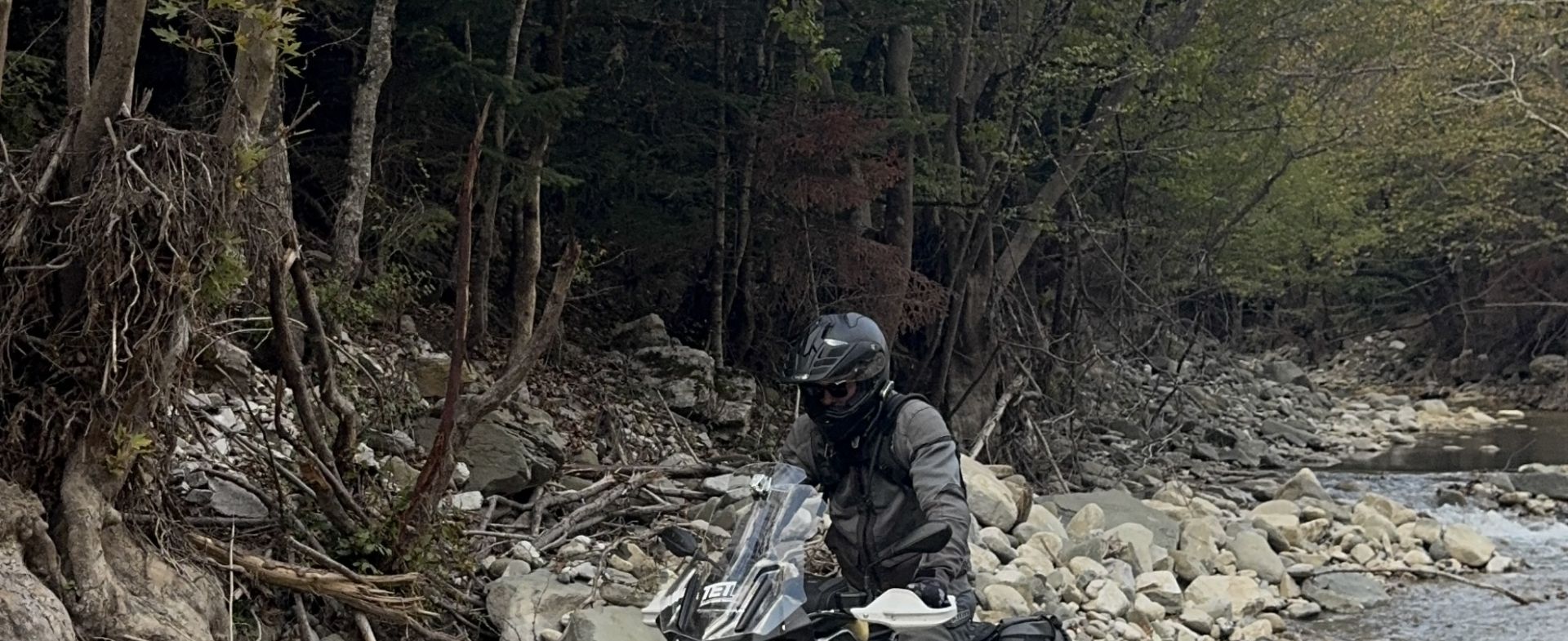 Unexpected Adventure