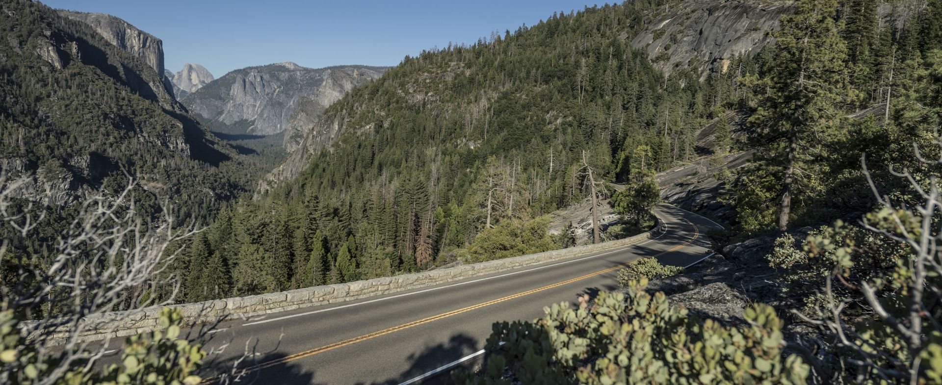 Yosemite National Park / Wawona Road