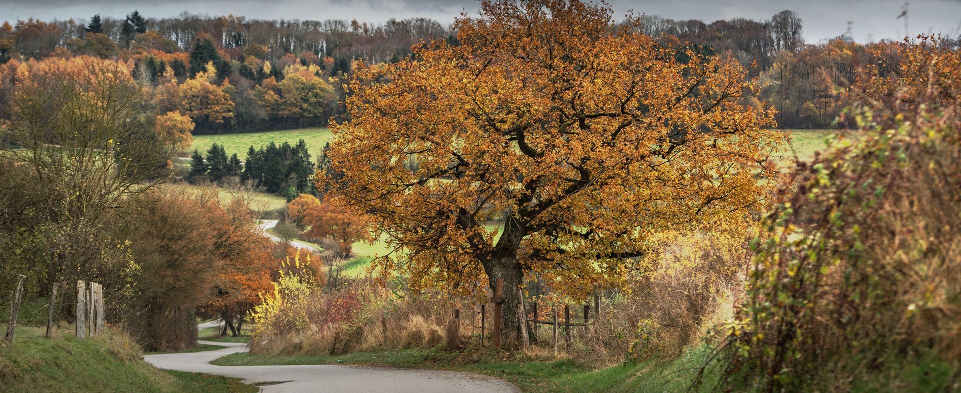 Chemin Saint-Remy - Marche-en-Famenne
