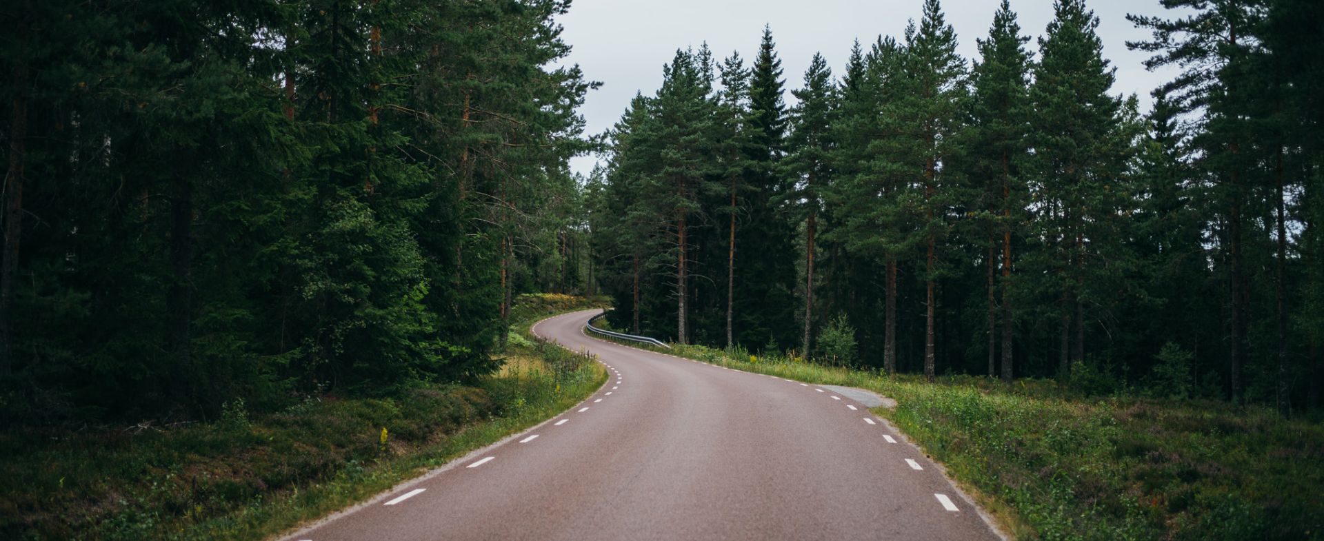 Little road along the lake