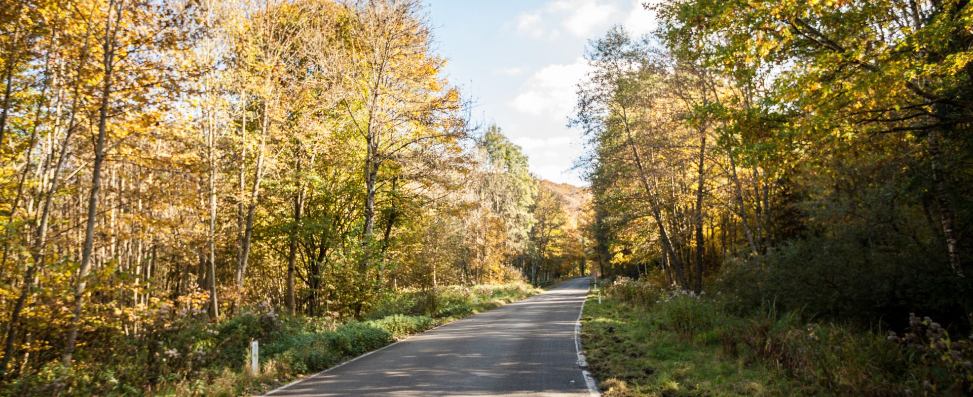 Route Pierre Napoléon Bonaparte