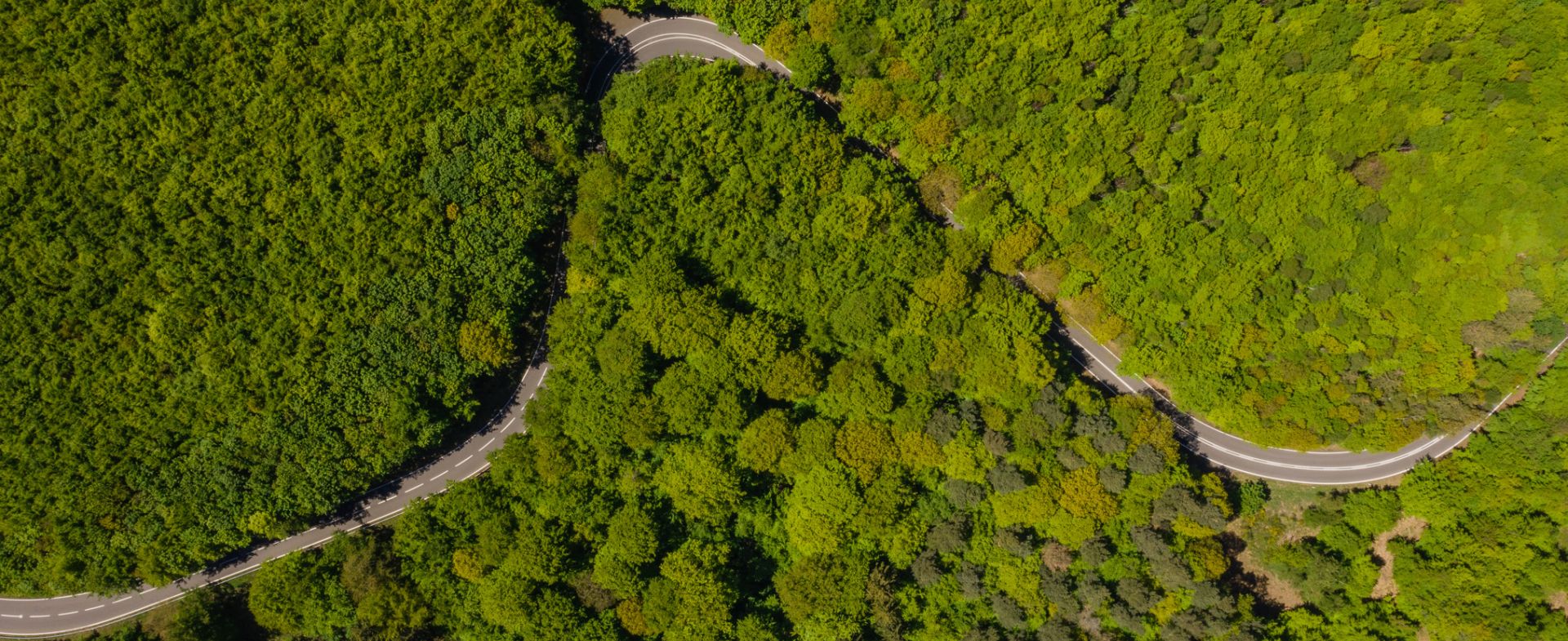 L249 Wolfgarten to Heimbach
