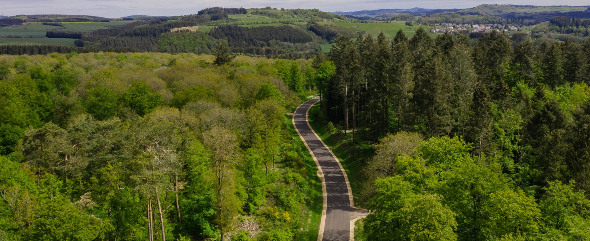L46 - Daun - Bleckhausen