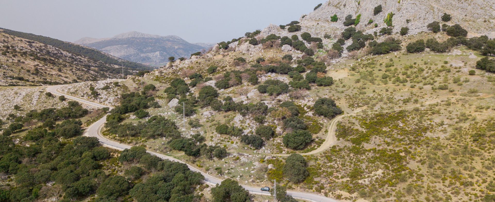 MA-156 - Alfarnate - Periana