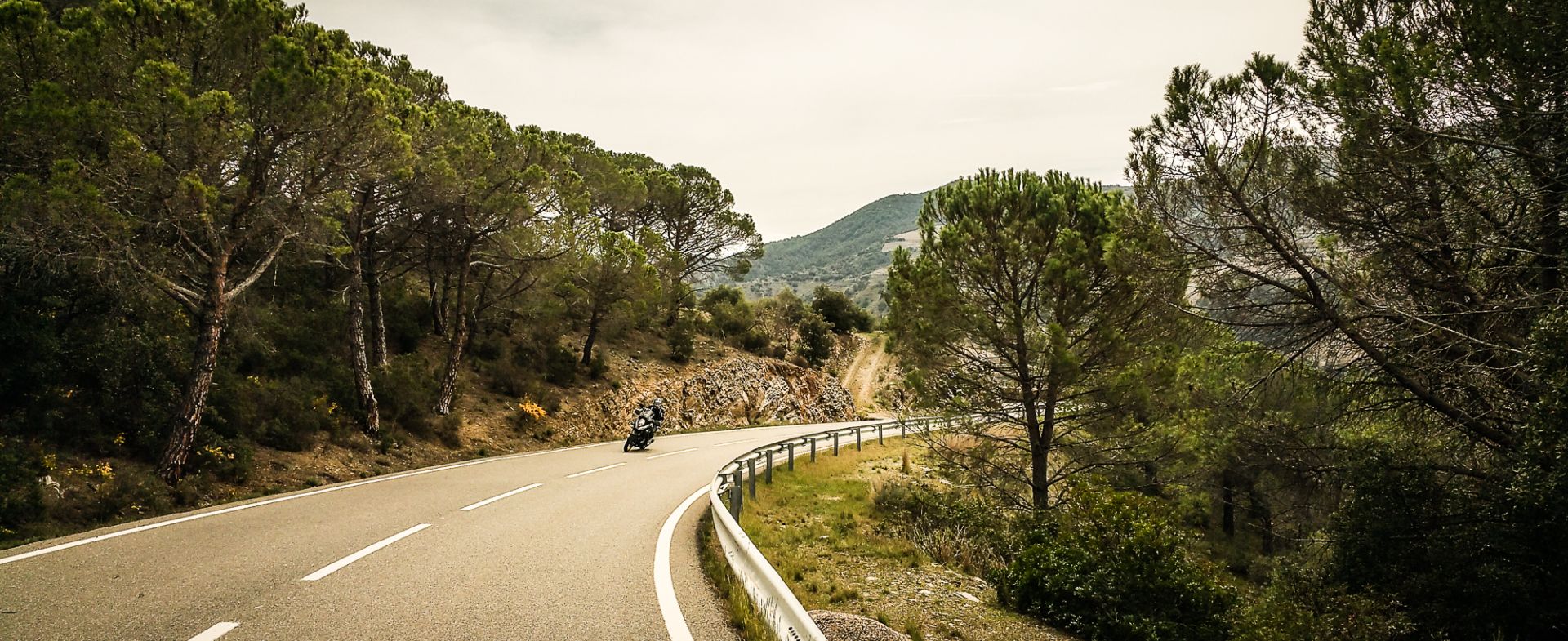 TP-7403, Porrera - Torroja del Priorat