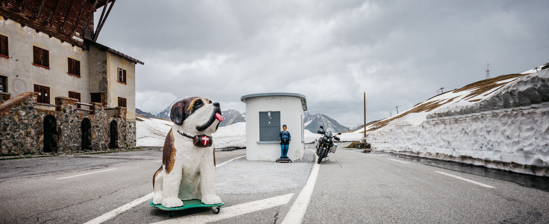 little San Bernard