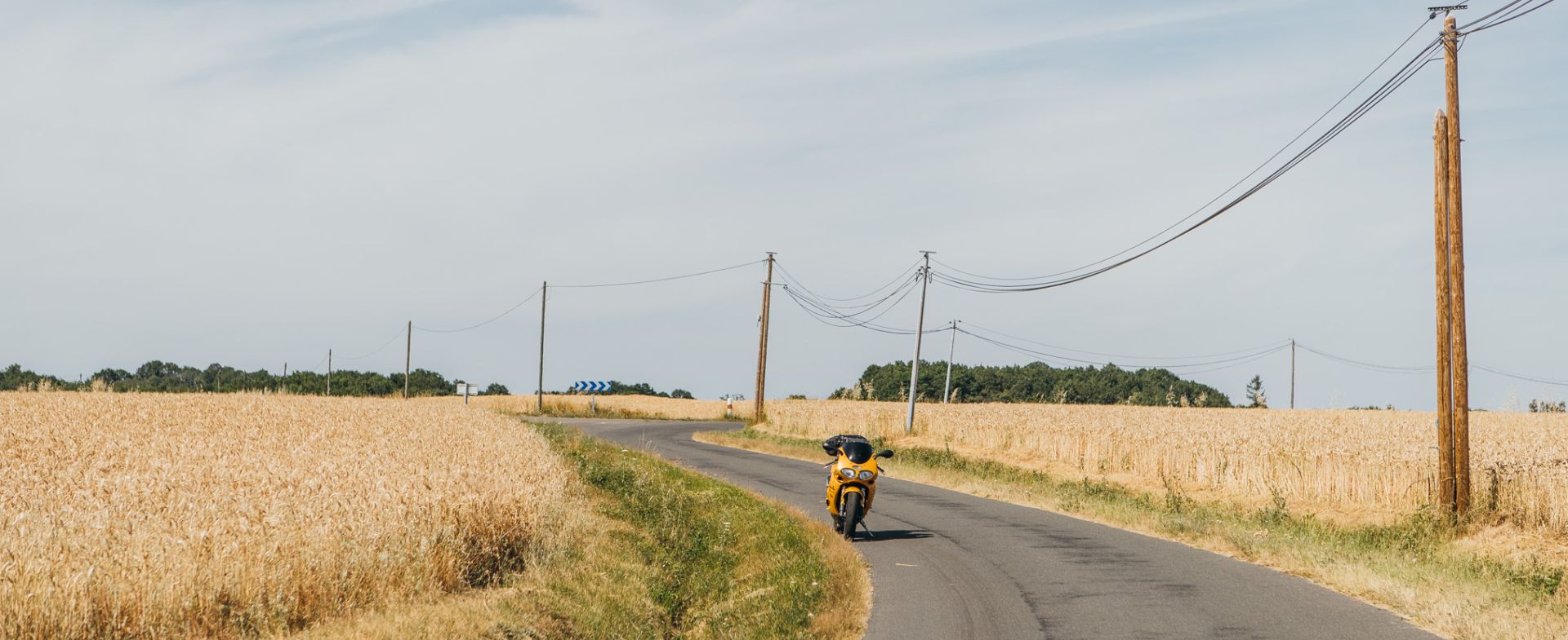 D231 - LaPionnière - Lhomme