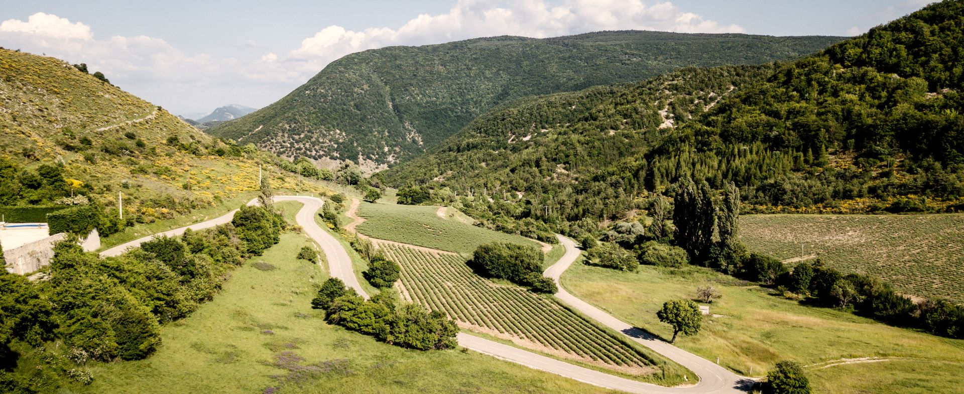 D542, Montbrun Les Bains - Sederon