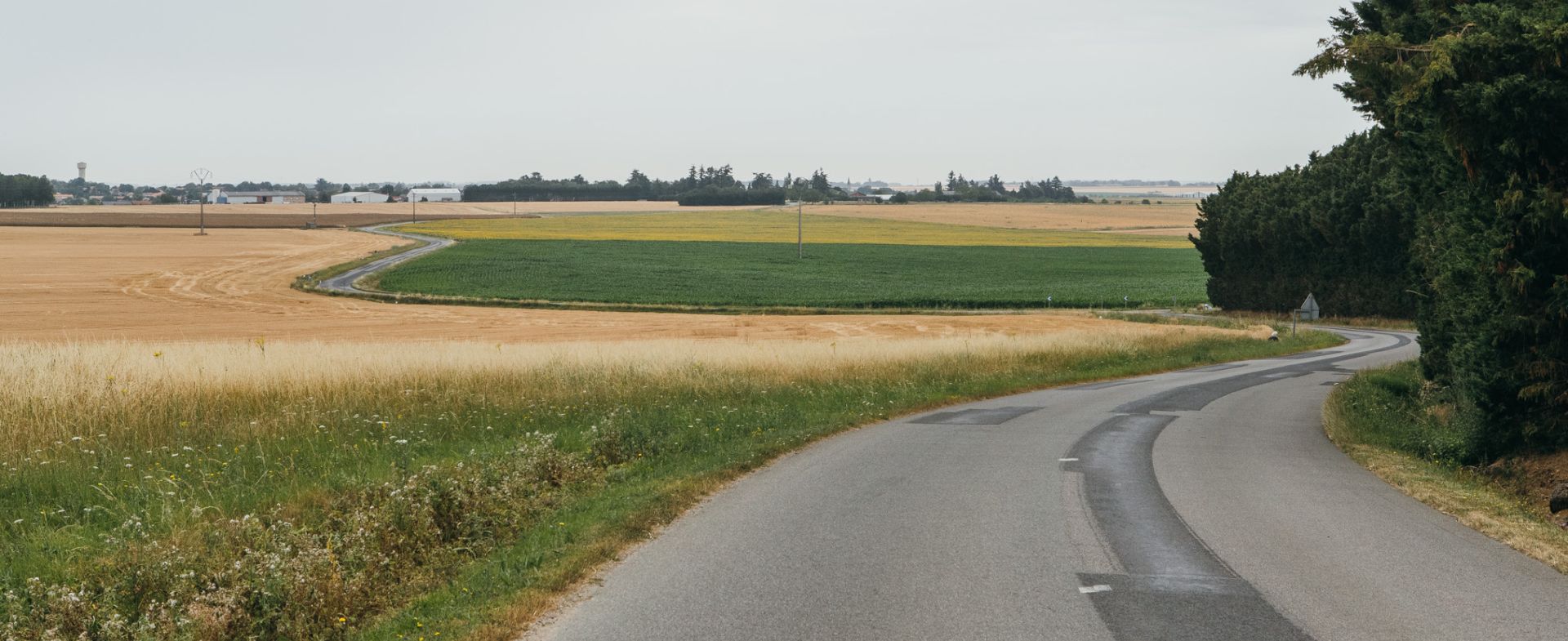 D7 - Mirebeau - Frozes