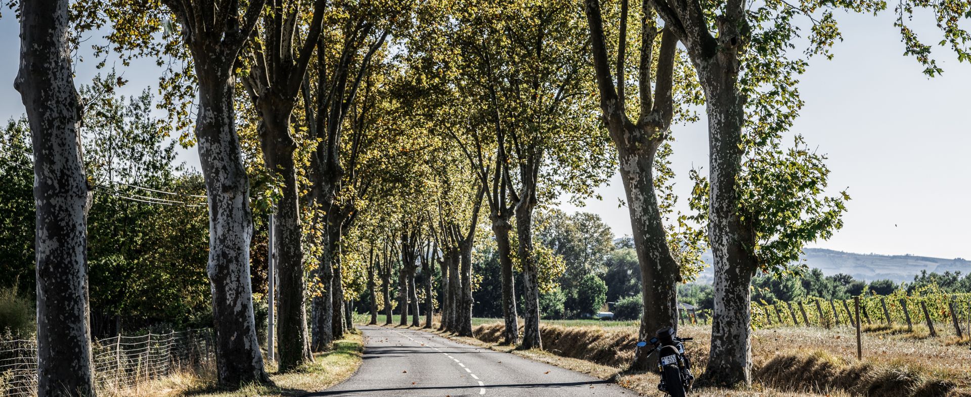 D87, Gaillac - Lavaur
