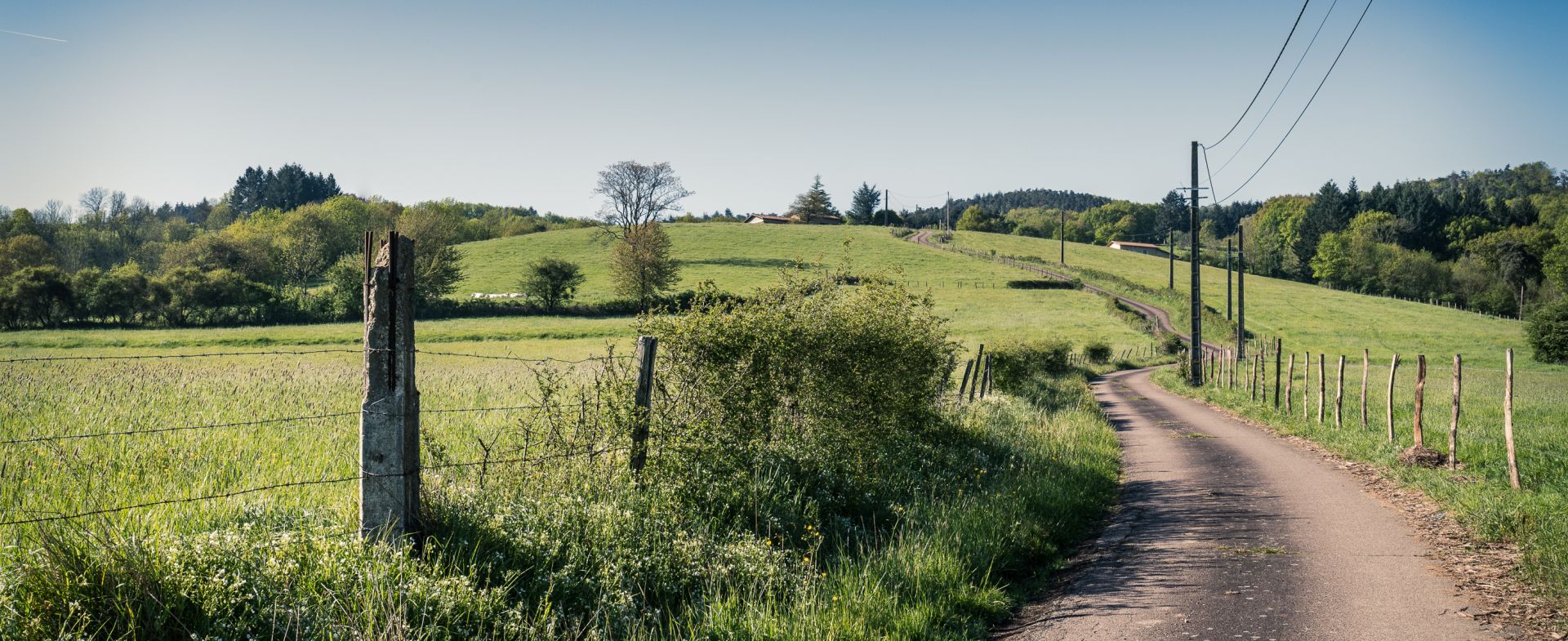 Small road next to the Loire