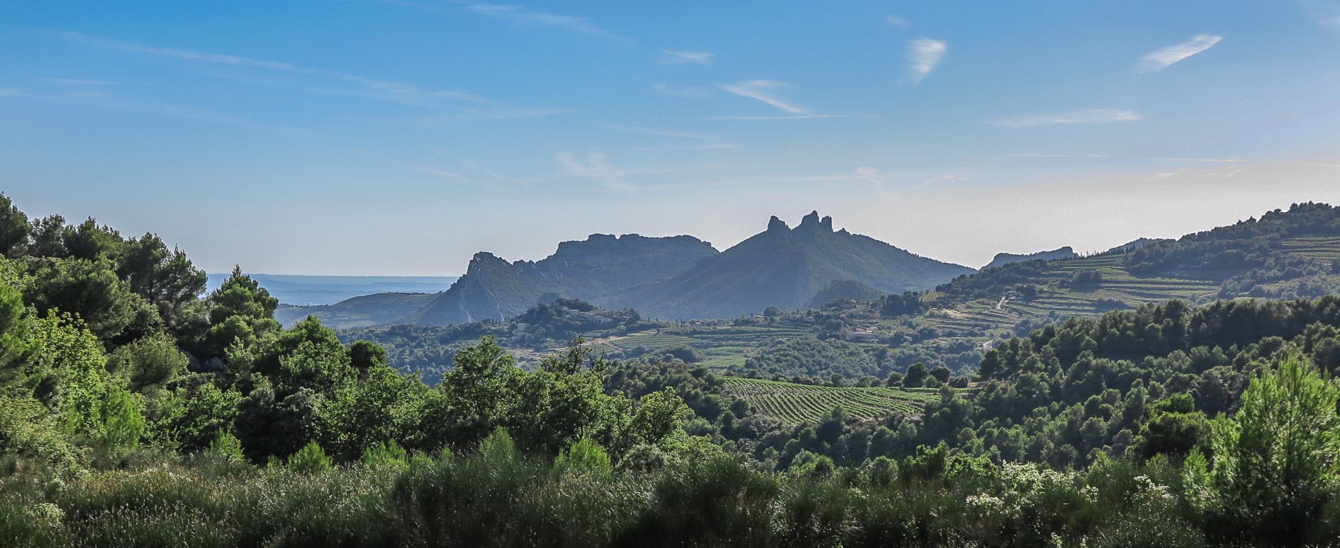 Les Dentelles de Montmirail - Vaucluse 84