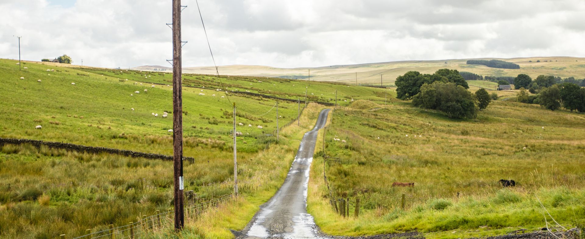 Unnamed Road