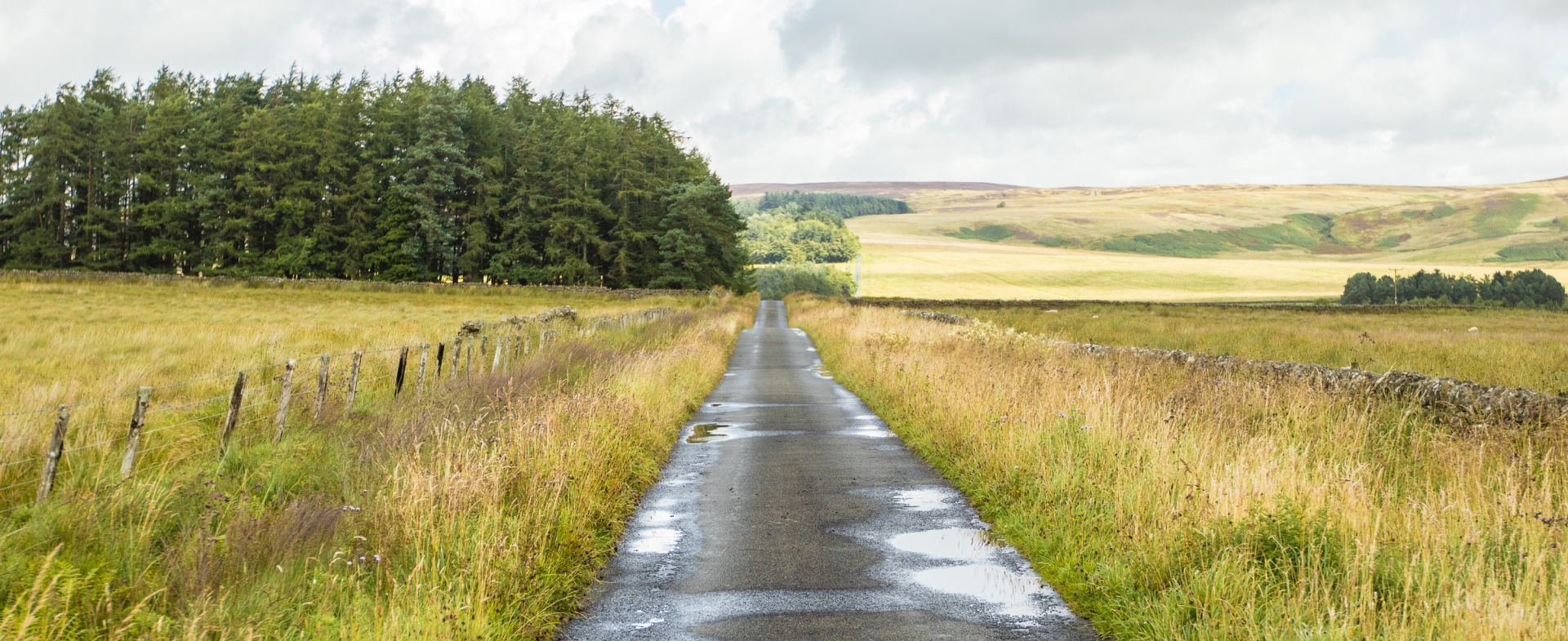 Unnamed Road