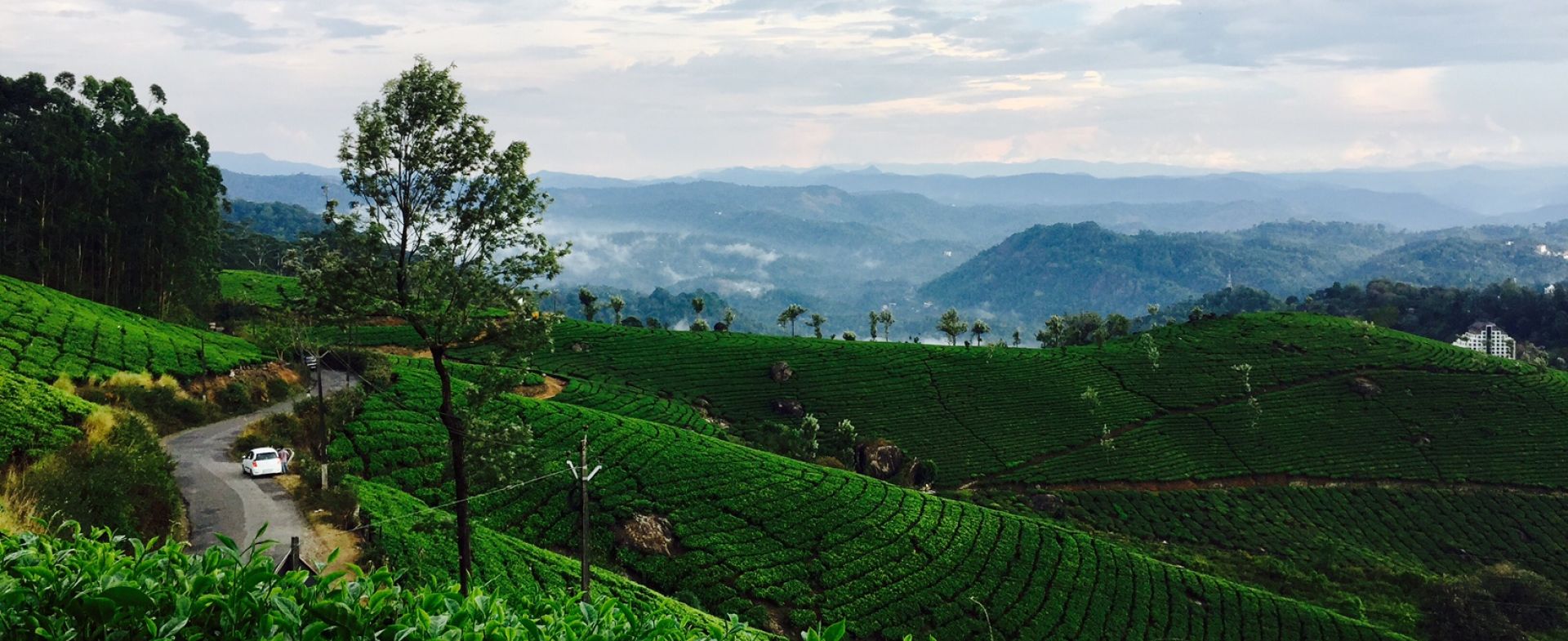 Munnar Hills