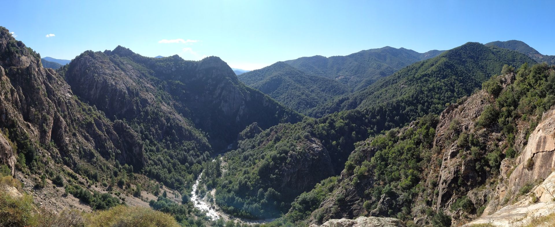 Vico